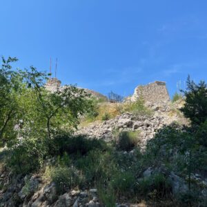 IMG_8339